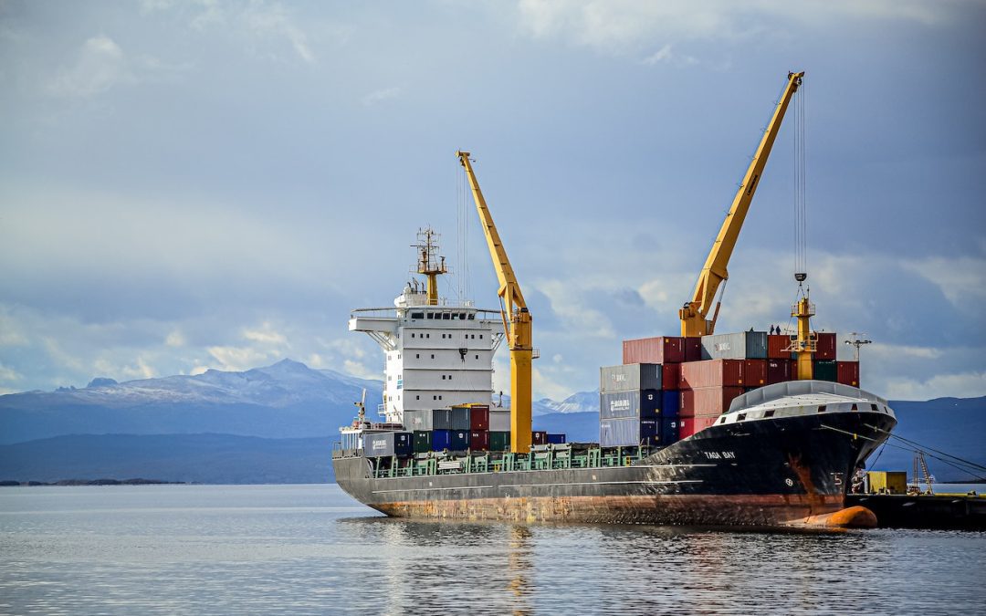 pexels-paweÅ-hunterowy-6144482-min